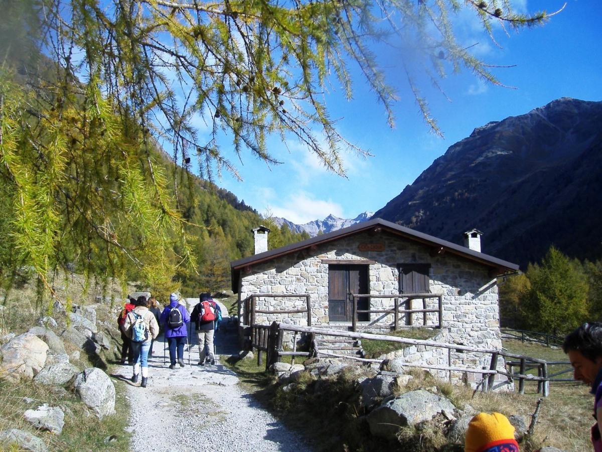 Хостел Casa Del Parco Dell'Adamello Di Вецца-д'Ольо Экстерьер фото