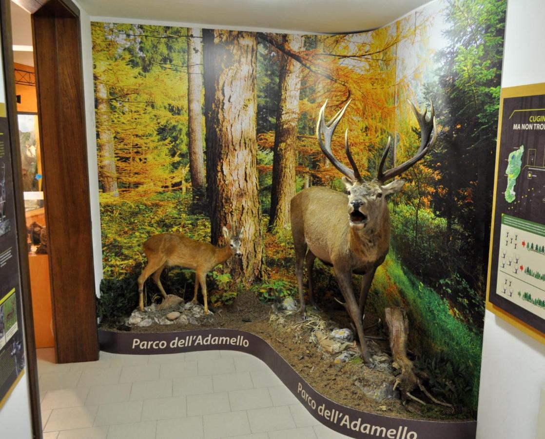 Хостел Casa Del Parco Dell'Adamello Di Вецца-д'Ольо Экстерьер фото